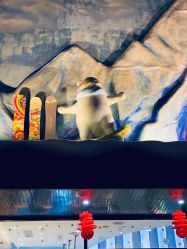 -Mr·Kuma酷么先生雪之乐园