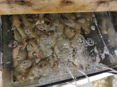 -阿杰臻选海鲜饭店(普陀山店)