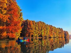 -上海海湾国家森林公园