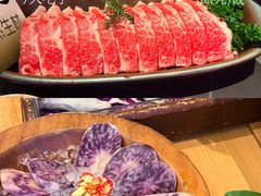 -季季山·云南野生菌火锅(上海首店)