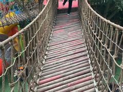-呀路古热带植物园