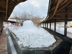 -济州森林小火车生态公园