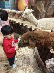 -宝燕乐园(闵行旗舰店)