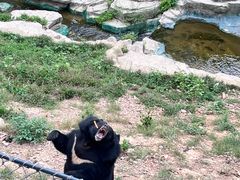 -大连森林动物园