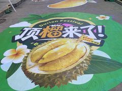-凯德MALL(望京店)