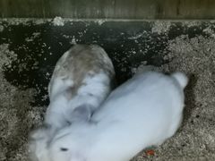 -上海大自然野生昆虫馆