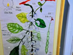 -上海昆虫博物馆