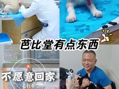 -芭比堂动物医院·心脏科·老年急重症·夜诊·吉雅分院