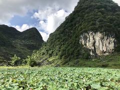 -靖西鹅泉风景区