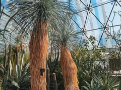 -北京植物园-展览温室