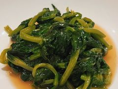 高山豆苗-南麓·浙里(外滩店)