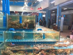 水产区-渔人湾码头海鲜市场负二楼