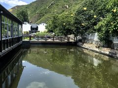 -荷塘味道(水长城店)