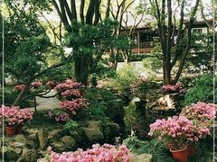 -上海醉白池公园