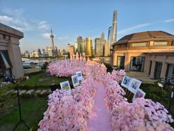 -迈瑞米求婚策划(静安店)