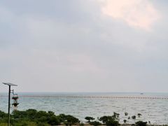 -北海金海湾红树林生态旅游区