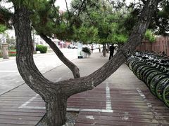 -老虎石海上公园