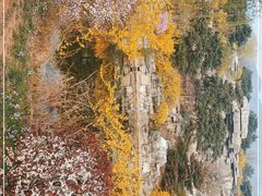 -北京西山国家森林公园