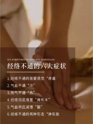 -香薇妮丝·定制减肥·身材管理