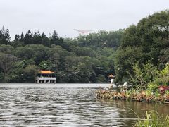 -深圳仙湖植物园