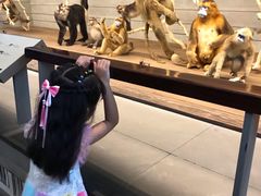 -自然博物馆新馆2楼餐厅