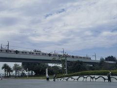 -宝安西湾红树林湿地公园