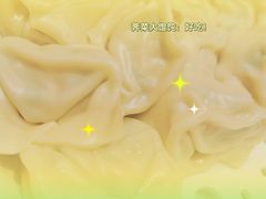 -大队长大灶鹅