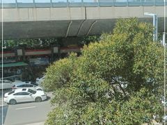 -禾珍珠家常小馆(河南博物院店)