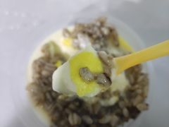 -雪露酸奶