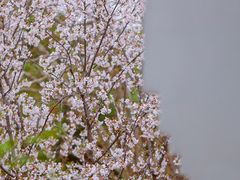 -堤角公园