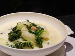 白菜仔-东富酒家(龙湖西溪天街店)