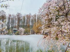 -东湖生态旅游风景区