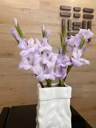 -酉嘉瑜伽YO+YOGA