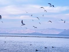 -大理洱海
