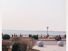 -丁香湖公园