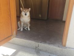 -啡语