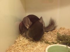 -龙猫仔乐园(惠福东路店)