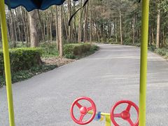 -上海滨江森林公园