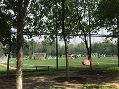 -回龙观体育文化公园