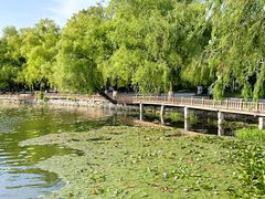 -长春市南湖公园