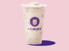 -一只酸奶牛(八一路店)