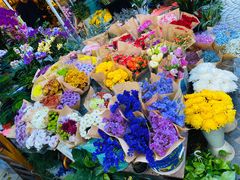 -曲阳花鸟市场(曲阳路店)
