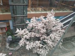 -嘉悦汗蒸时代(曙光路店)