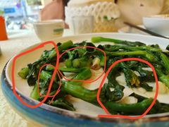-湖南乡情湘菜馆(罗湖店)