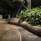 白天未来感，晚上幽灵感