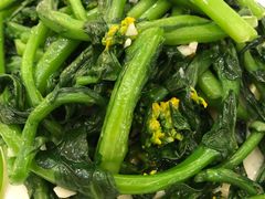 -卡尔顿东方银龙酒店•广西菜•早茶