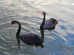 -长春世界雕塑园冰雪艺术天地