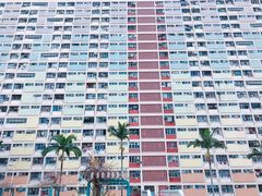 -彩虹村