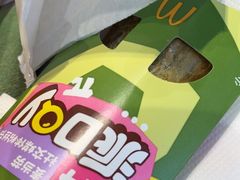 -麦当劳(塔园路店)