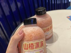 -野萃山·潮汕厚果汁(十亩地店)